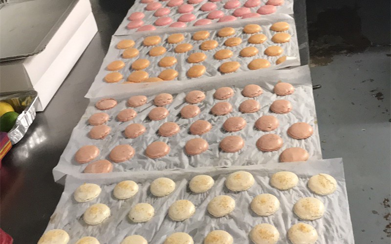 image00001 image00001